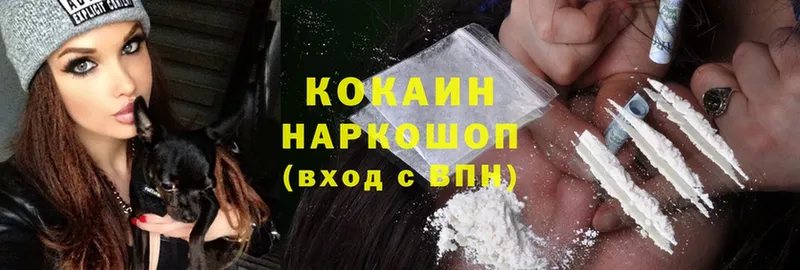 как найти закладки  Петропавловск-Камчатский  Cocaine 98% 